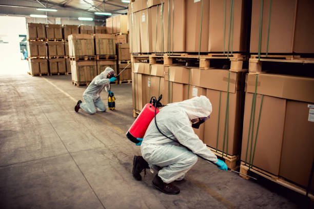 Wasp Removal Services in Brown City, MI