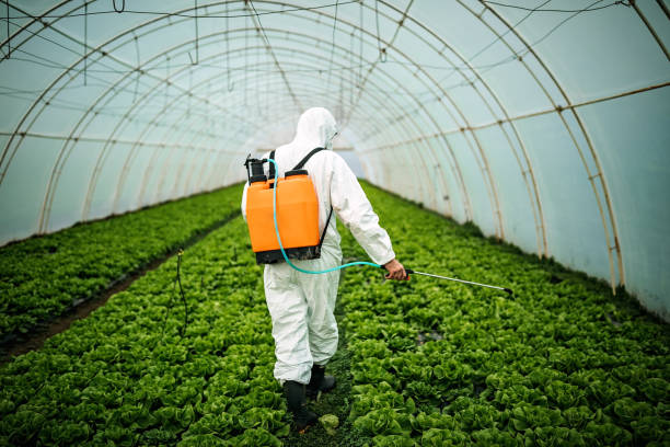 Best Mosquito Control Services  in Brown City, MI