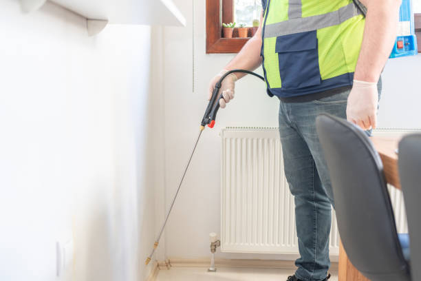 Best Ant Control Services  in Brown City, MI