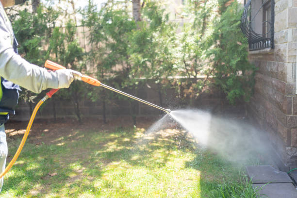 Best Pest Removal Services  in Brown City, MI