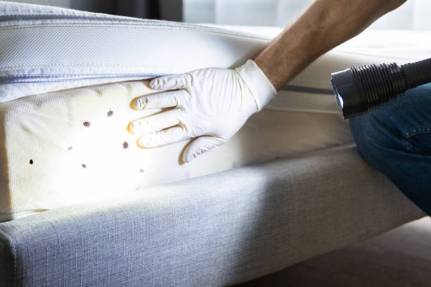 Best Residential Pest Control  in Brown City, MI