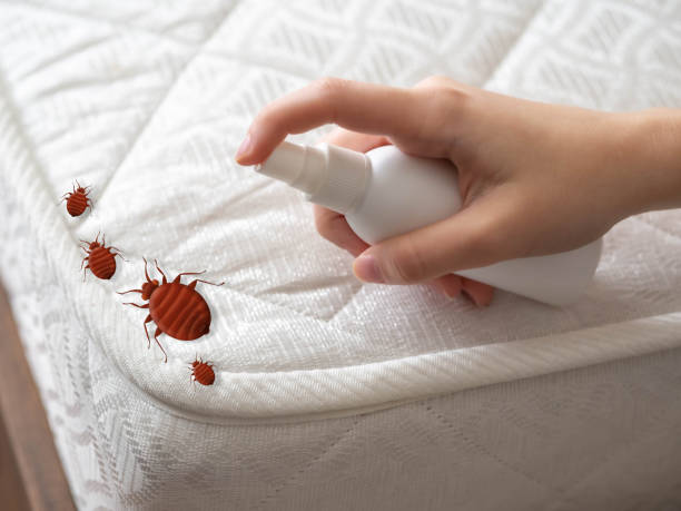 Best Pest Prevention Services  in Brown City, MI
