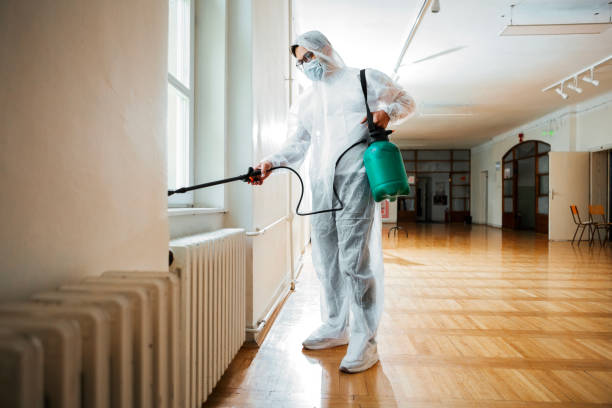 Best Termite Control Services  in Brown City, MI