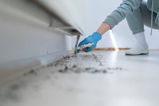Best Residential Pest Control  in Brown City, MI